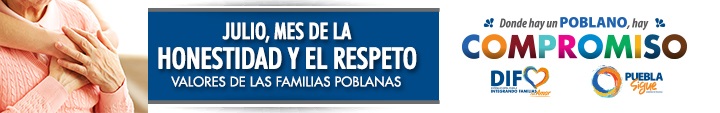 banner guia valores