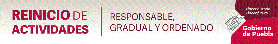 banner reapertura