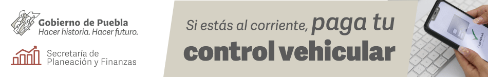 banner control vehicular