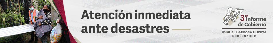 banner Informe