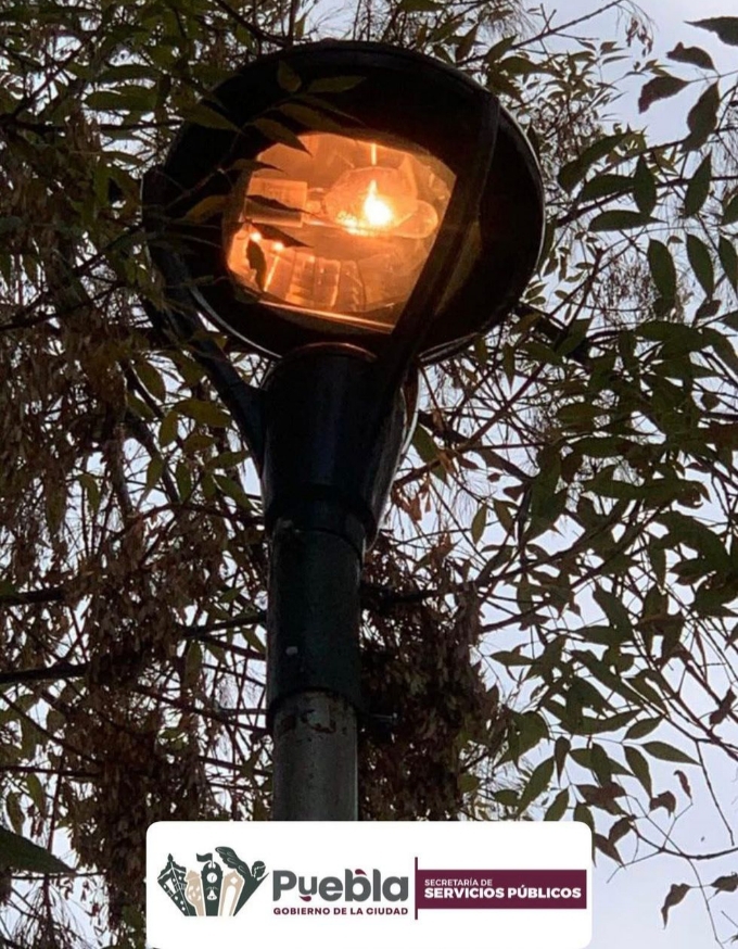 Luminarias