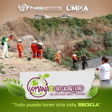Limpia, recicla