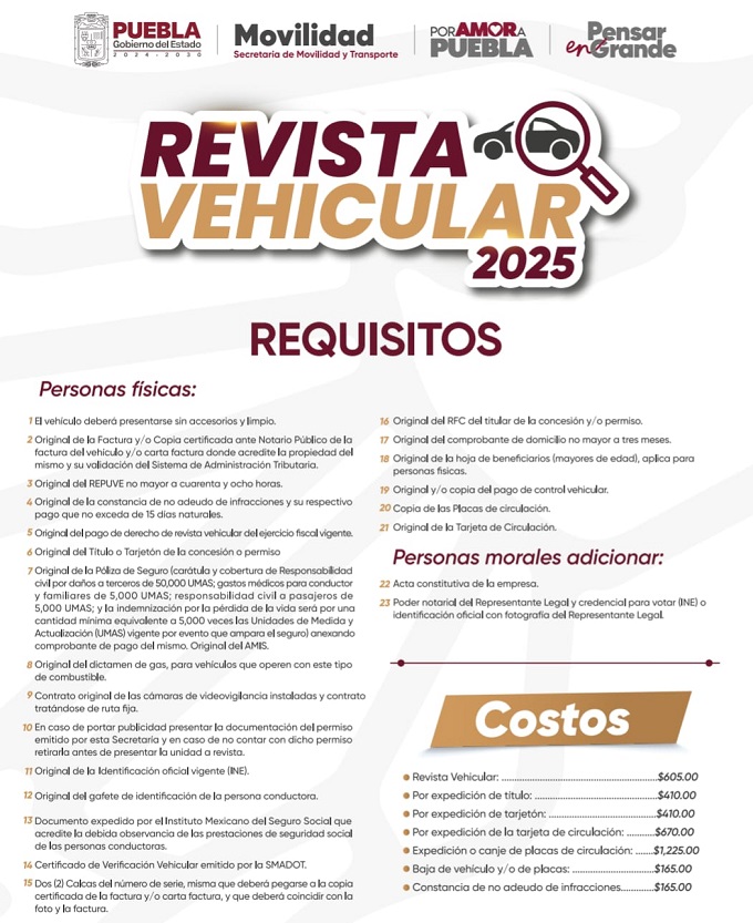 revista