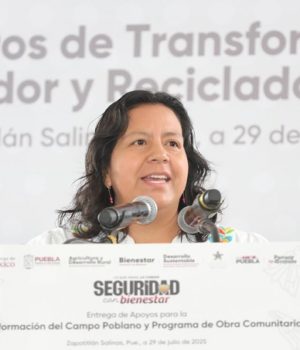 Refuerzan control por gusano barrenador en Puebla