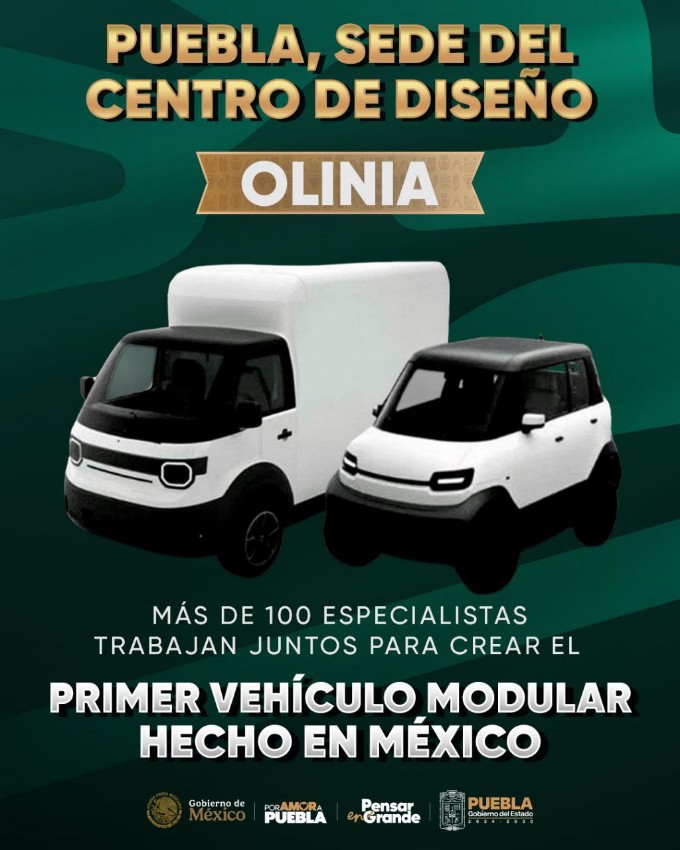 Olinia