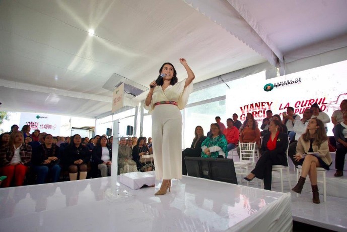 Diputada Vianey García