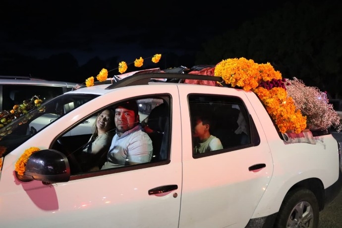 Venta flor de Cempasúchil