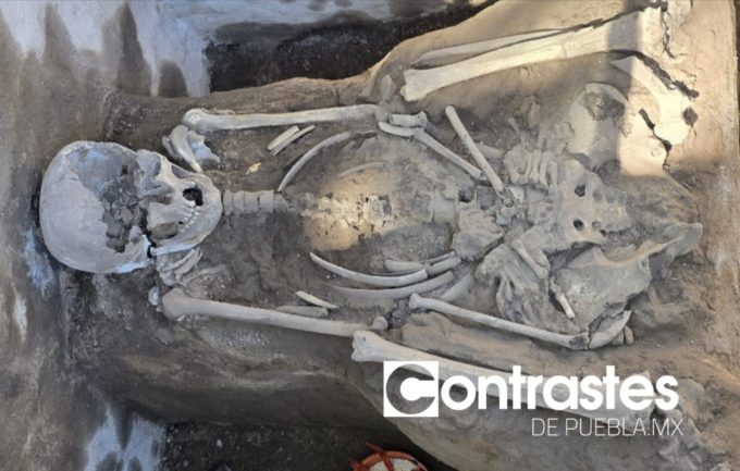 WhatsApp Image 2025-10-31 at 1.11.29 PM