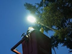 Gobierno de Pepe Chedraui instala 30 mil luminarias modernizadas en beneficio de más de 786 mil habitantes