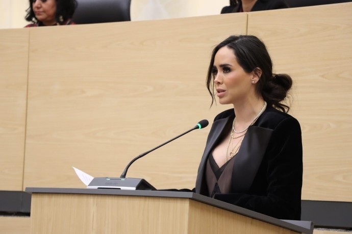 Diputada Grace Palomares