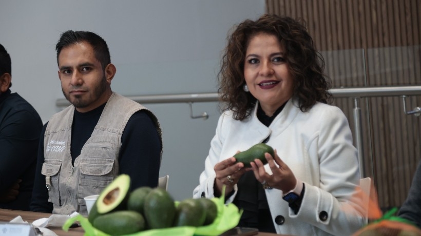 Feria del Aguacate en Atlixco