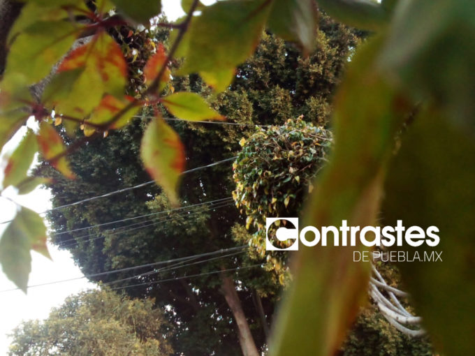 InShot_20251116_121639066