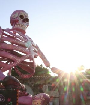 Ariadna Ayala destaca a ‘El Camotero’ como símbolo cultural y antojo mexicano