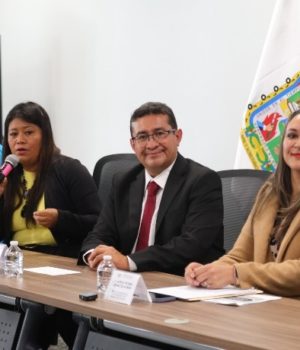 Analizan en el Congreso protocolo de atención a víctimas de violencia sexual infantil