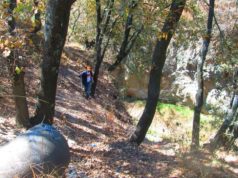 Puebla prepara plan municipal para intervenir la barranca El Conde, foco de inseguridad