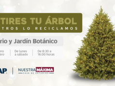 Colecta BUAP árboles de Navidad para elaboración de comportamientos