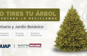 Colecta BUAP árboles de Navidad para elaboración de comportamientos
