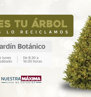 Colecta BUAP árboles de Navidad para elaboración de comportamientos