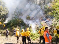 Gobierno de Puebla combate incendio en Chilchotla