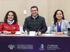 Morena frena iniciativa de Nay Salvatori contra “falsos reportes” de desaparición