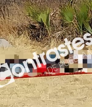 VIDEO: Armenta atribuye a delincuencia organizada ejecución de seis personas en Huehuetlán El Grande