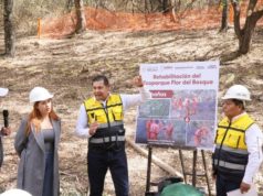 Ecoparque “Pensar en Grande” será el bosque más grande del sur-sureste: Alejandro Armenta