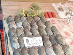 Profeco inicia operativo “Cuaresma y Semana Santa 2026” en Puebla y Tlaxcala