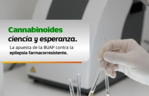 Estudian en la BUAP cannabinoides para tratamiento de epilepsia