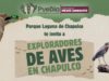 Pepe Chedraui impulsa la educación ambiental con “Exploradores de Aves en Chapulco”