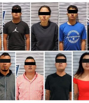 Fuerzas de seguridad debilitan a grupo delictivo con detención de nueve integrantes