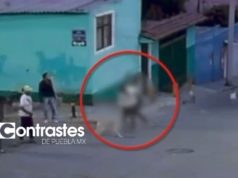 VIDEO: Armenta exige castigo por agresión a mujer que defendió a perros en San Jerónimo Caleras