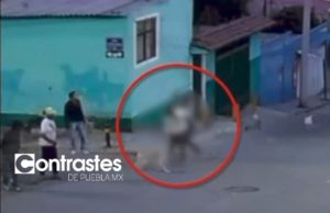 VIDEO: Armenta exige castigo por agresión a mujer que defendió a perros en San Jerónimo Caleras