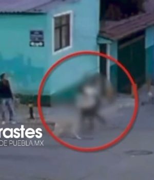 VIDEO: Armenta exige castigo por agresión a mujer que defendió a perros en San Jerónimo Caleras