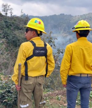 Ante incremento de incendios en 2026, Gobierno Estatal intensifica acciones de combate
