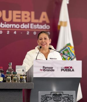 Garantizar derecho al agua, un compromiso y prioridad, asegura Laura Artemisa