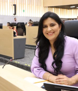 Diputada Delfina Pozos llama a fortalecer la representación ciudadana y el equilibrio democrático