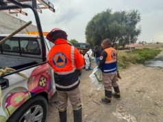 Hallan siete perros sin vida en Huejotzingo con signos de crueldad animal