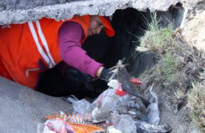 Acciones de limpieza del Gobierno de Pepe Chedraui llegan a Bulevar Municipio Libre