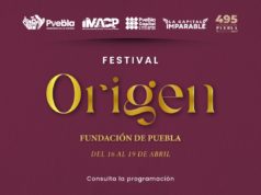 Gobierno de Pepe Chedraui invita a disfrutar del Festival Origen
