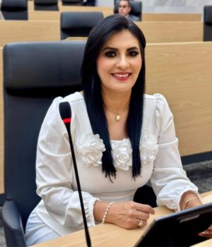 Delfina Pozos presenta iniciativa de reforma a la Ley Orgánica de la Administración Pública en materia de comunicación social