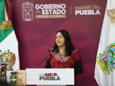 Puebla, segundo estado con más casos de gusano barrenador; perros, los más afectados