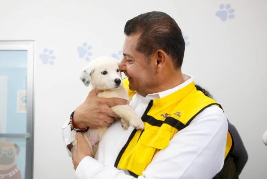 Armenta impulsa regulación de venta de mascotas y adopta un cachorro