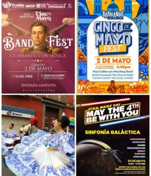 Música, cine y mucha diversión ofrece el Gobierno de Pepe Chedraui este fin de semana