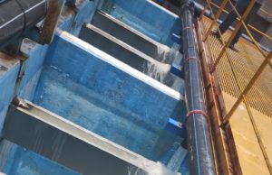 Agua de Puebla concluye trabajos en Planta Paseo del Río y ncia regularización gradualdel servicio