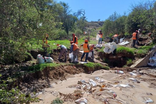 Clausura parcial en Chiltepeque no afecta recolección de basura en Puebla