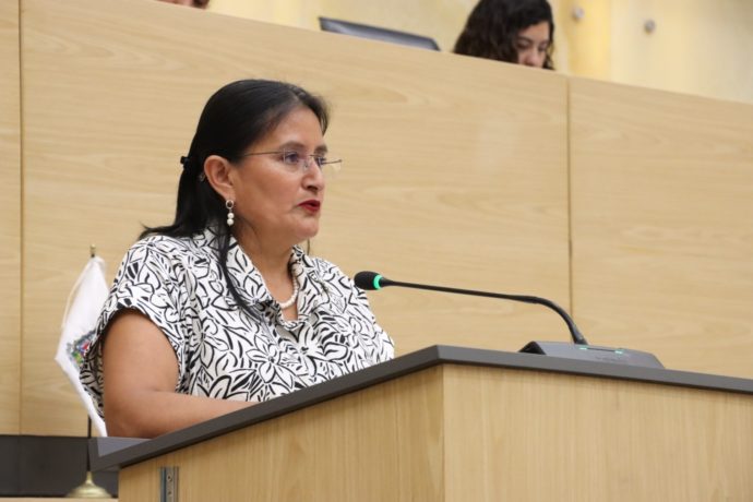 Diputada Esther Martínez