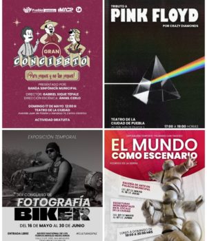 Gobierno de Pepe Chedraui invita a pasar un gran fin de semana cultural