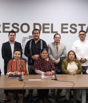 Comisión del Congreso aprueba exhorto para capacitar al personal de salud en lenguas indígenas