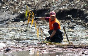 Promueve Gobierno de Pepe Chedraui limpieza y disposición adecuada de residuos para prevenir inundaciones