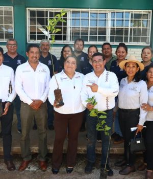Diputado Pável Gaspar promueve jornadas de reforestación en San Juan Epatlán y Chiautla de Tapia
